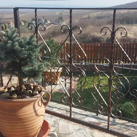 Etno Kula
